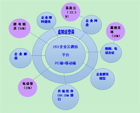 二六三 瞄準未來，鑄就企業互聯網通信與信息服務王牌
